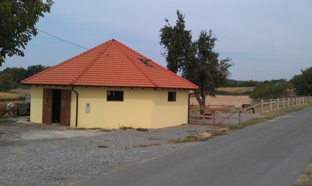 Rooms & Apartment Vinia Bjelovar Exterior photo